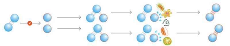 TOP 5 công nghệ lọc không khí hiệu quả nhất hiện nay 5 Công nghệ lọc không khí Ozon