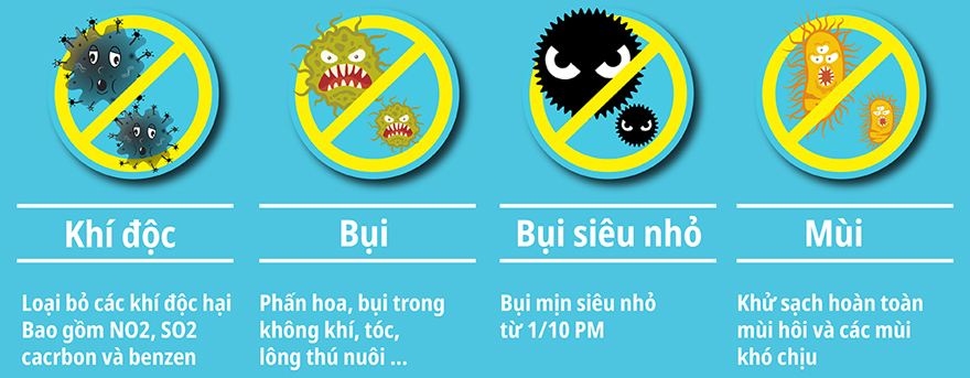 An tâm về chất lượng